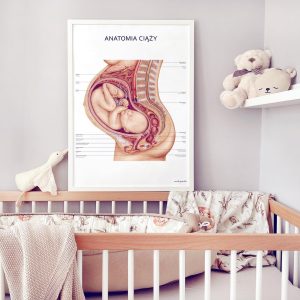 Plakat przedstawiający ciało kobiety w zaawansowanej ciąży