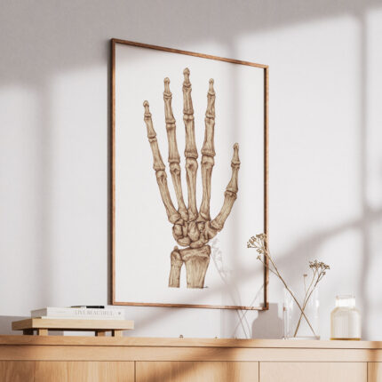 Plakat medyczny - Kości-Ręki