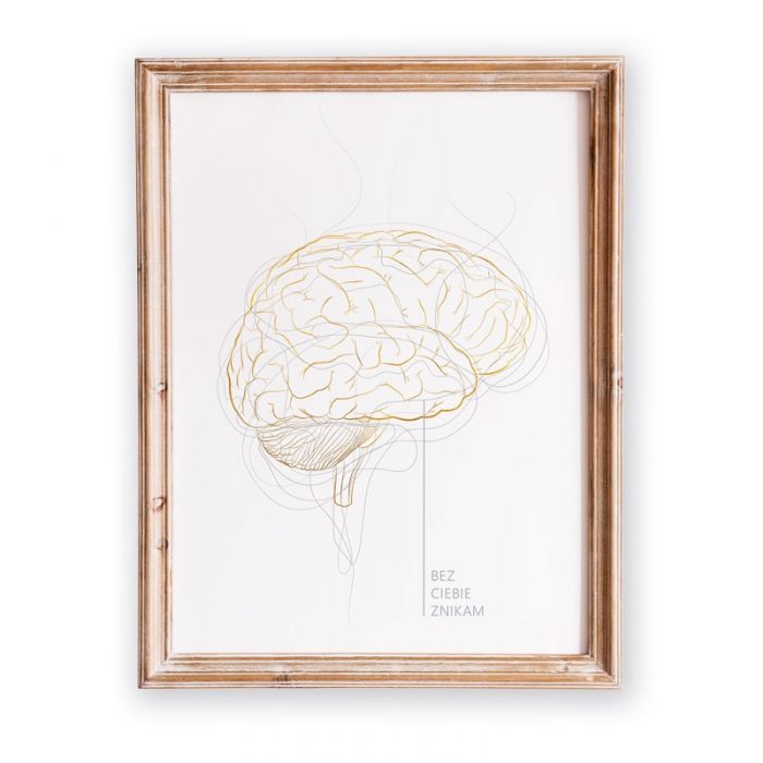 Anatomia Móżgu - plakat anatomiczny ozdobny - złoty mózg