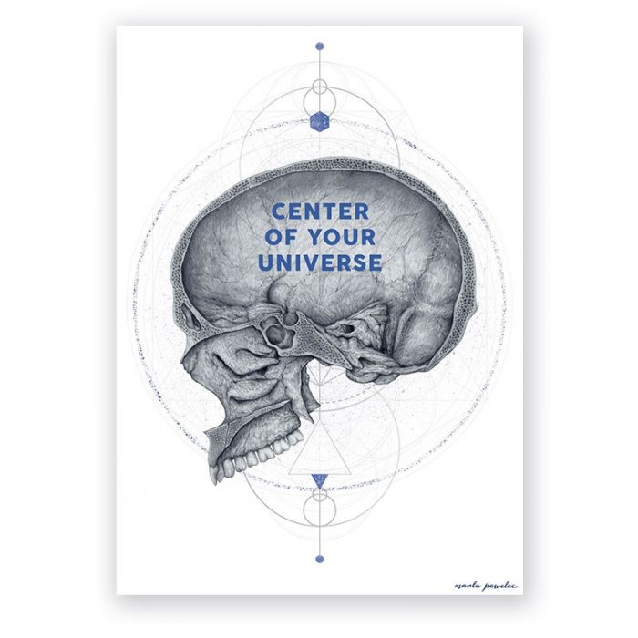 Plakat Anatomiczny - Przekroju czaszki art