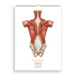 Kalendarz Anatomiczny 2022 okładka