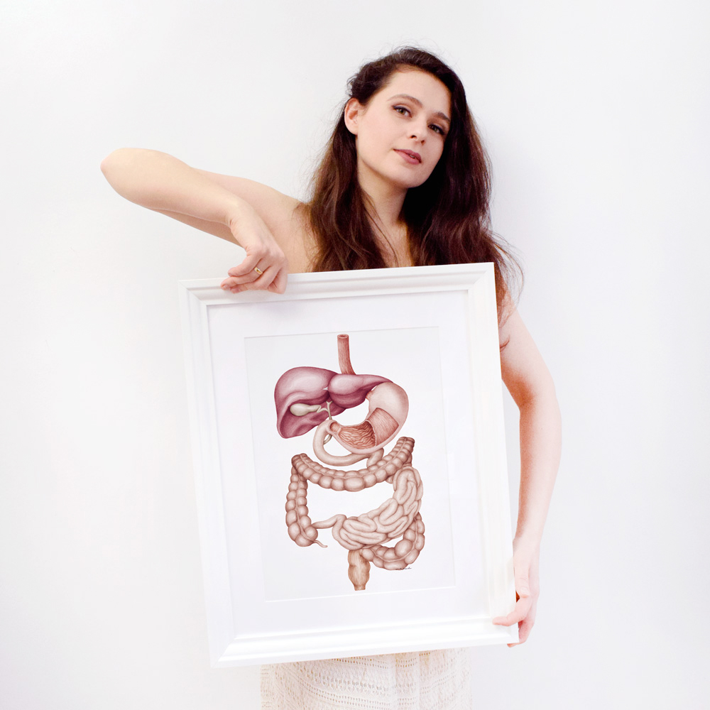 Układ okarmowy człowieka - to tu przebiega proces trawienia