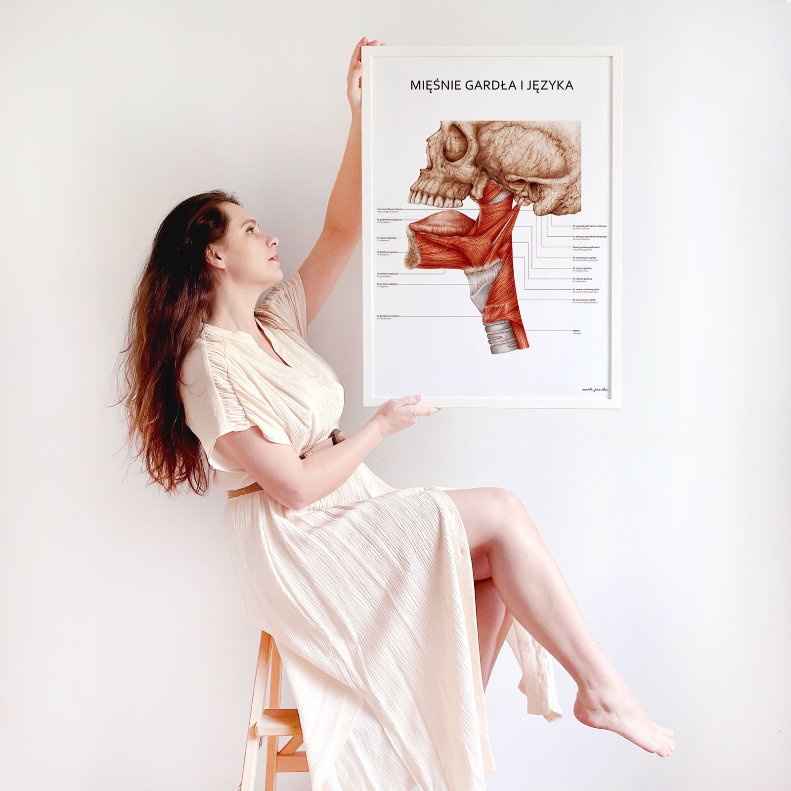 Plakat anatomiczny dla logopedów, neurologopedów, piosenkarzy
