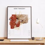 Plakat Anatomiczny - Nerw 7