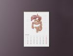 Kalendarz Anatomiczny 2023 - Grudzień