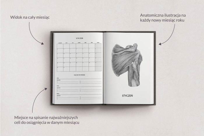 Planer Anatomiczny - wygląd miesięcy i ilustracje medyczne