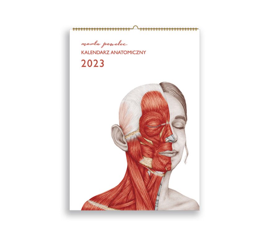 Kalendarz Anatomiczny 2023