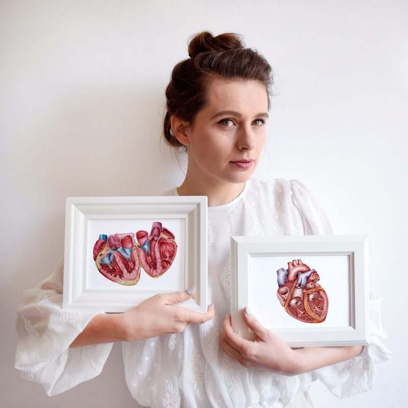 Ilustratorka medyczna Marta Pawelec pokazuje dwie ilustracje przedstawiające anatomię ludzkiego serca.