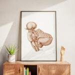 Plakat Medyczny - Móżdżek