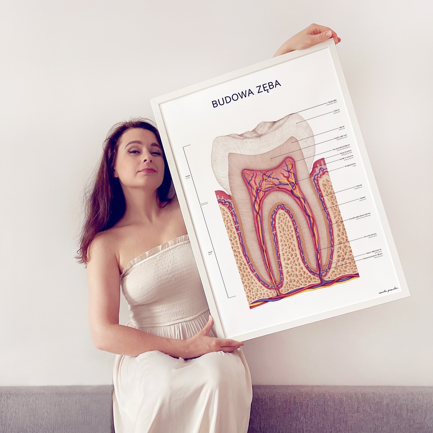 Rycina medyczna przedstawia jak zbudowane są zęby i z jakich struktur się składają