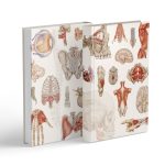 Notes Anatomiczny B5 - obrazek 4