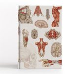 Notes Anatomiczny B5