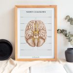 Plakat Nerwy Czaszkowe A3 - OUTLET - obrazek 2