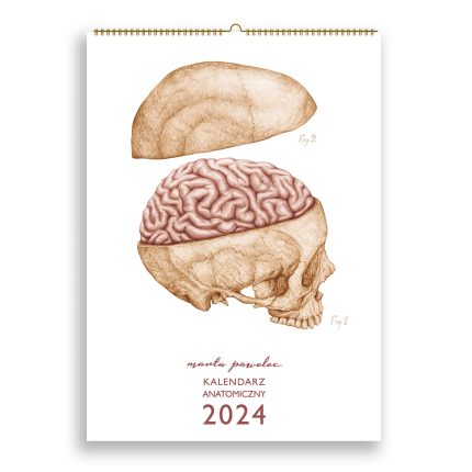 Kalendarz Anatomiczny 2024