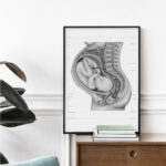 Plakat Anatomia Ciąży A3 - obrazek 3