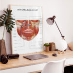 Plakat Anatomia Okolicy Ust - obrazek 5