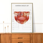 Plakat Anatomia Okolicy Ust - obrazek 7