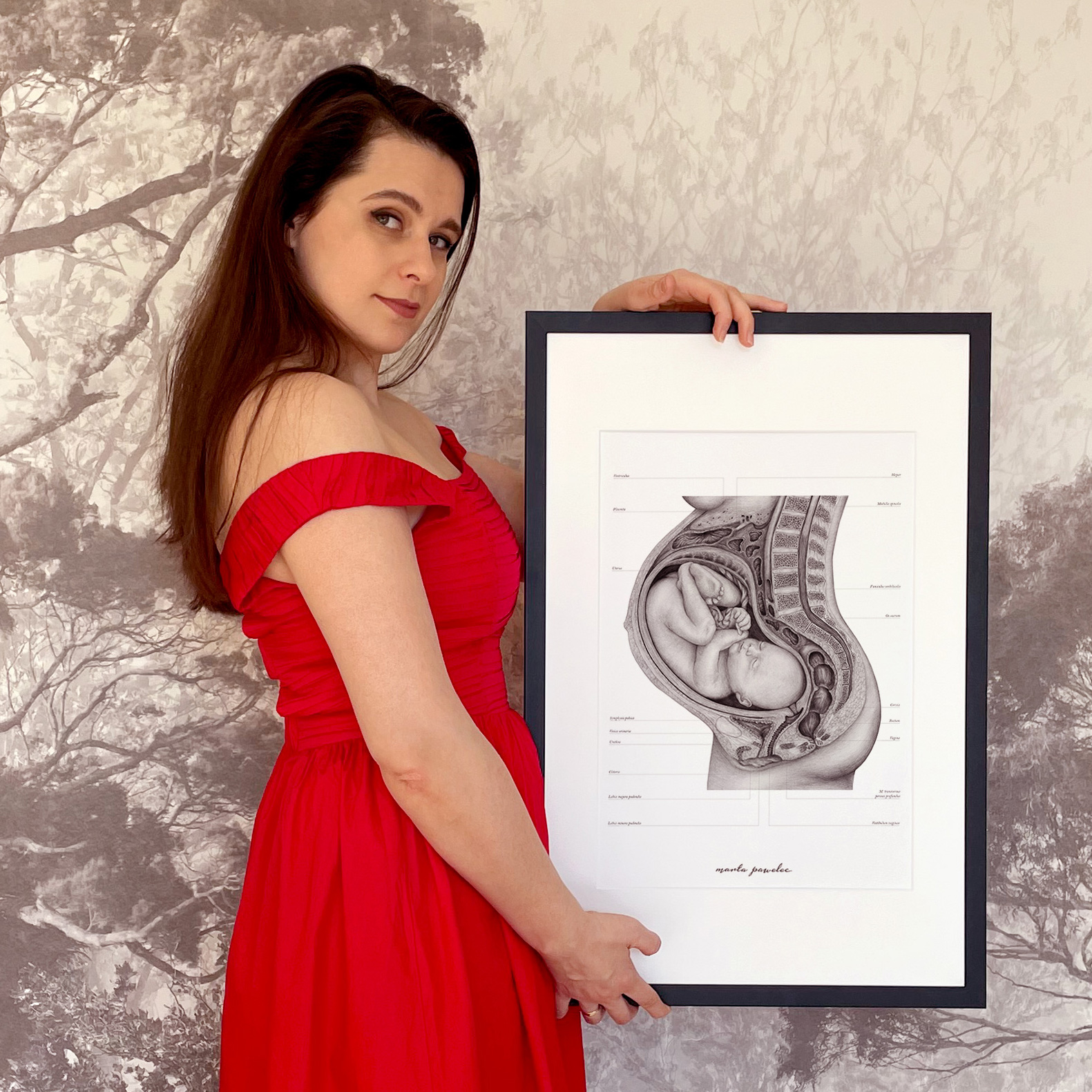 Plakat anatomiczny płód w 9 miesiącu ciąży