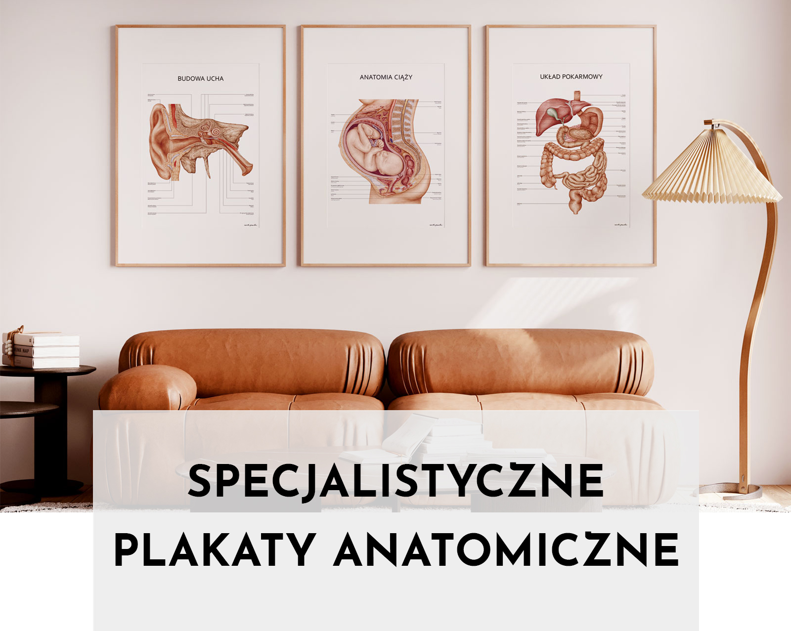 Specjalistyczne Plakaty Anatomiczne - mob