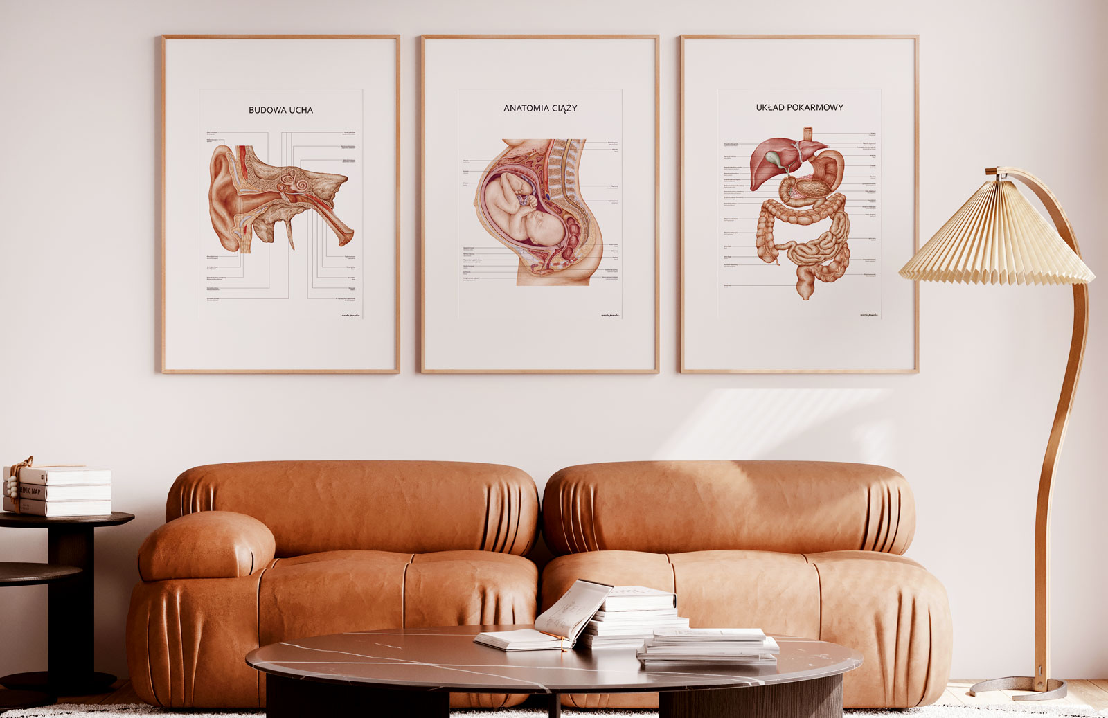 Specjalistyczne plakaty anatomiczne