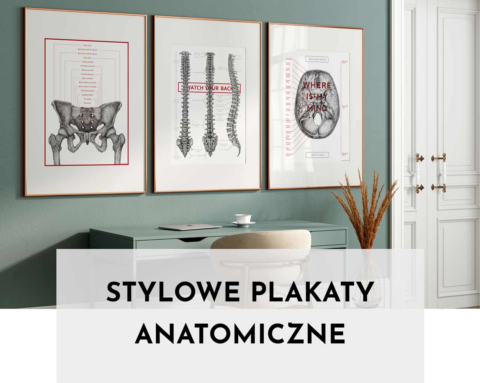 Anatomia w Stylu Vintage