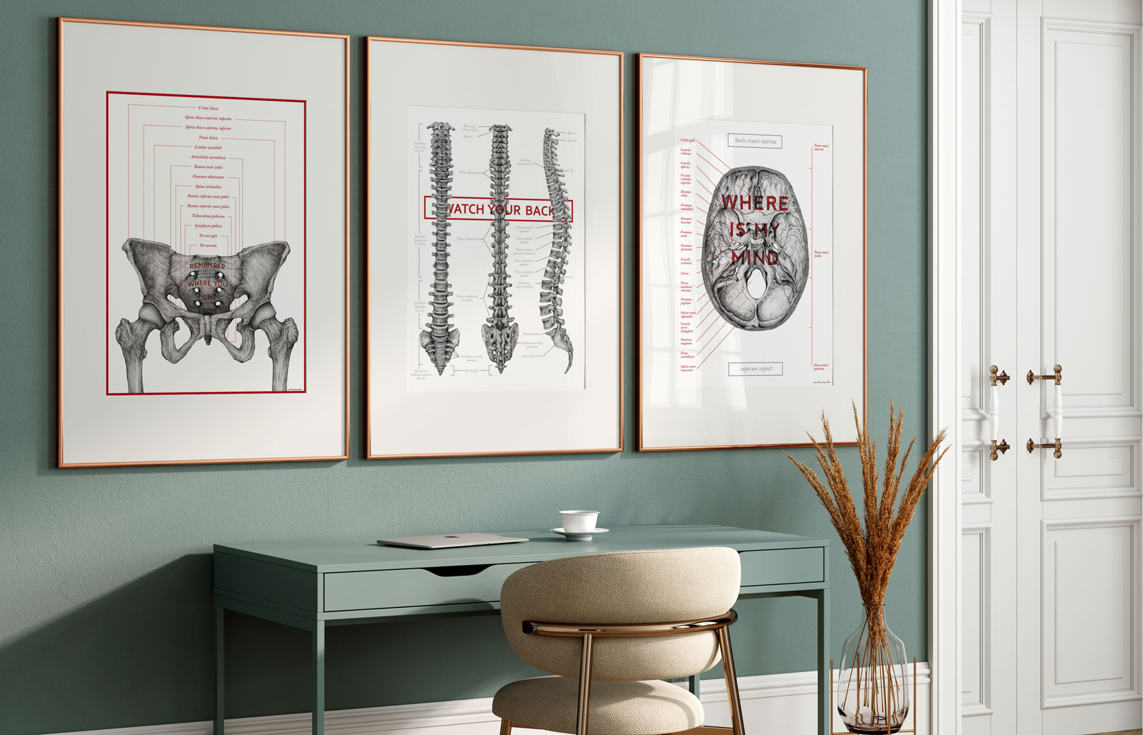 stylowe plakaty anatomiczne