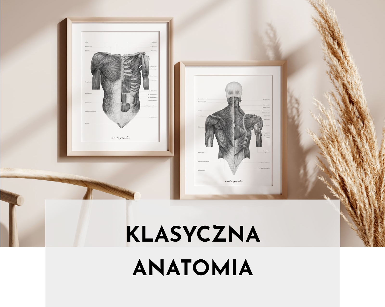 Klasyczna Anatomia