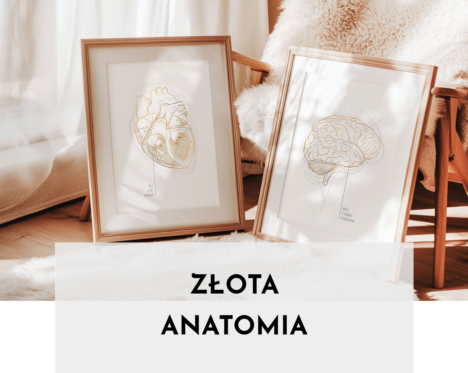 Złota Anatomia