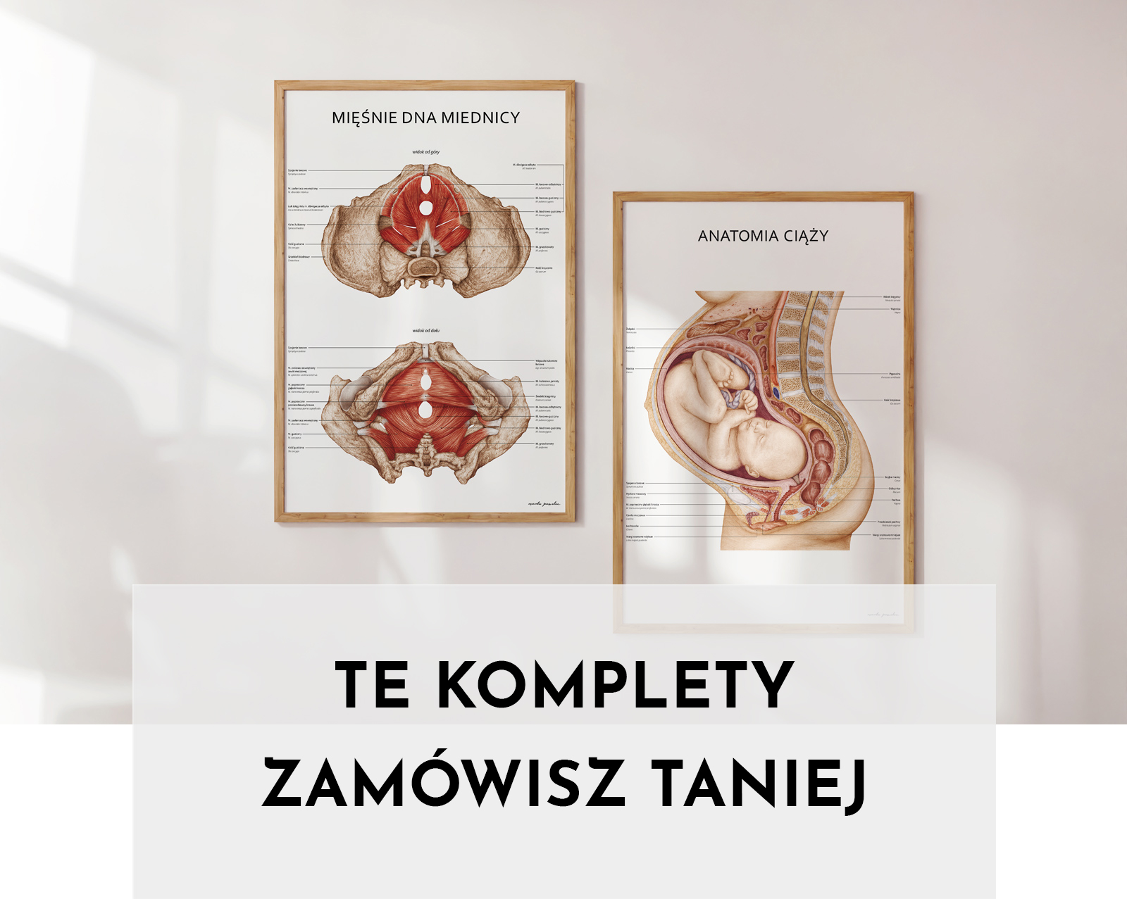 Anatomiczne Komplety