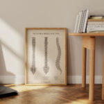 Plakat Budowa Kręgosłupa Vintage - OUTLET - obrazek 3