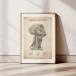 Plakat Mięśnie i Żyły Szyi Vintage - OUTLET - obrazek 7