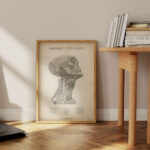 Plakat Mięśnie i Żyły Szyi Vintage - OUTLET - obrazek 3