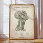Plakat Anatomiczny - Mięśnie i Żyły Szyi Vintage