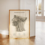 Plakat Przekrój Głowy Vintage - OUTLET - obrazek 2