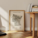 Plakat Przekrój Głowy Vintage - OUTLET - obrazek 3