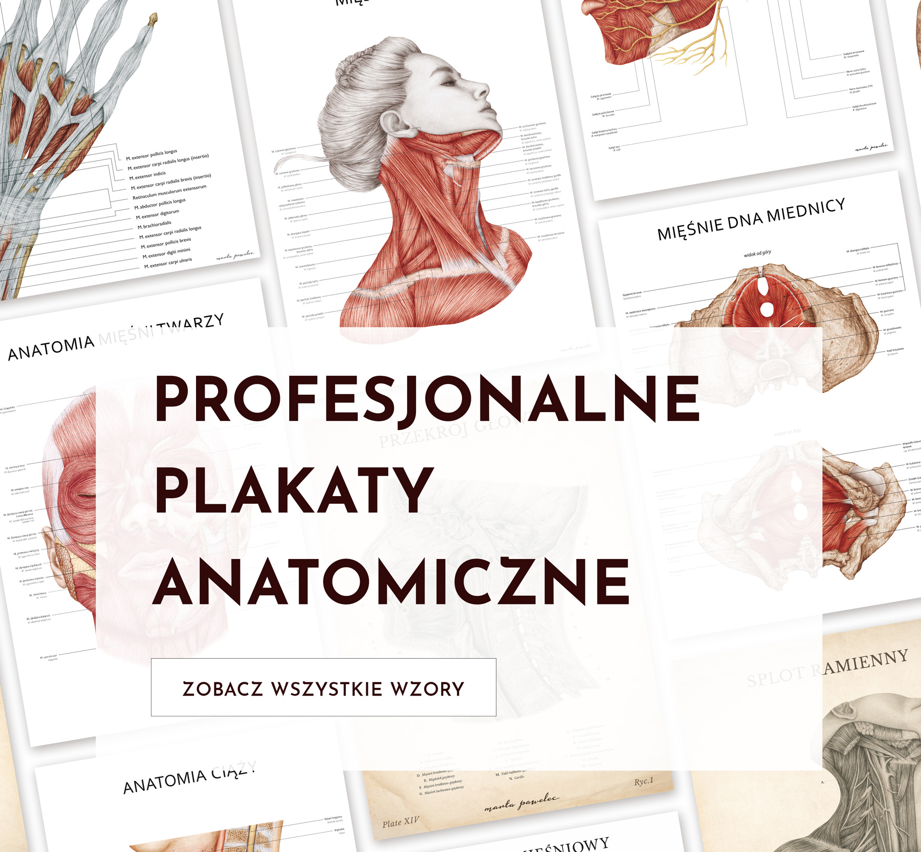 Plakaty Anatomiczne - Marta Pawelec mob