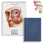 Kalendarz Anatomiczny 2026 & Planer Anatomiczny 2026