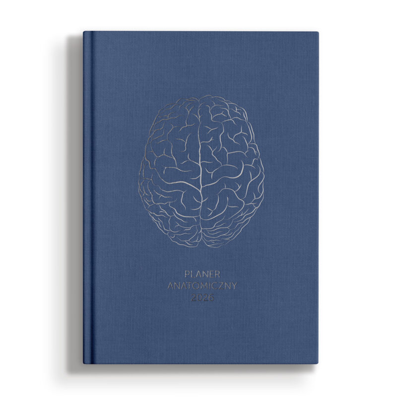 Planer Anatomiczny 2026