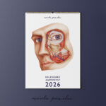 Kalendarz Anatomiczny 2026 - obrazek 14