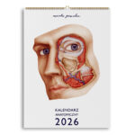 Kalendarz Anatomiczny 2026