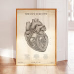 Plakat Mięsień Sercowy Vintage - obrazek 2