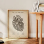 Plakat Mięsień Sercowy Vintage - obrazek 4