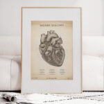 Plakat Mięsień Sercowy Vintage - obrazek 6