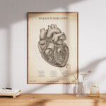 Plakat Mięsień Sercowy Vintage - obrazek 7