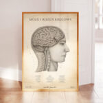 Plakat Mózg i Rdzeń Kręgowy Vintage - obrazek 3