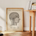 Plakat Mózg i Rdzeń Kręgowy Vintage - obrazek 4