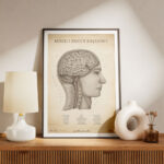 Plakat Mózg i Rdzeń Kręgowy Vintage - obrazek 5