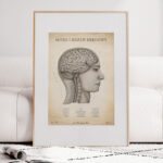 Plakat Mózg i Rdzeń Kręgowy Vintage - obrazek 6