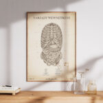 Plakat Narządy Wewnętrzne Vintage - obrazek 7