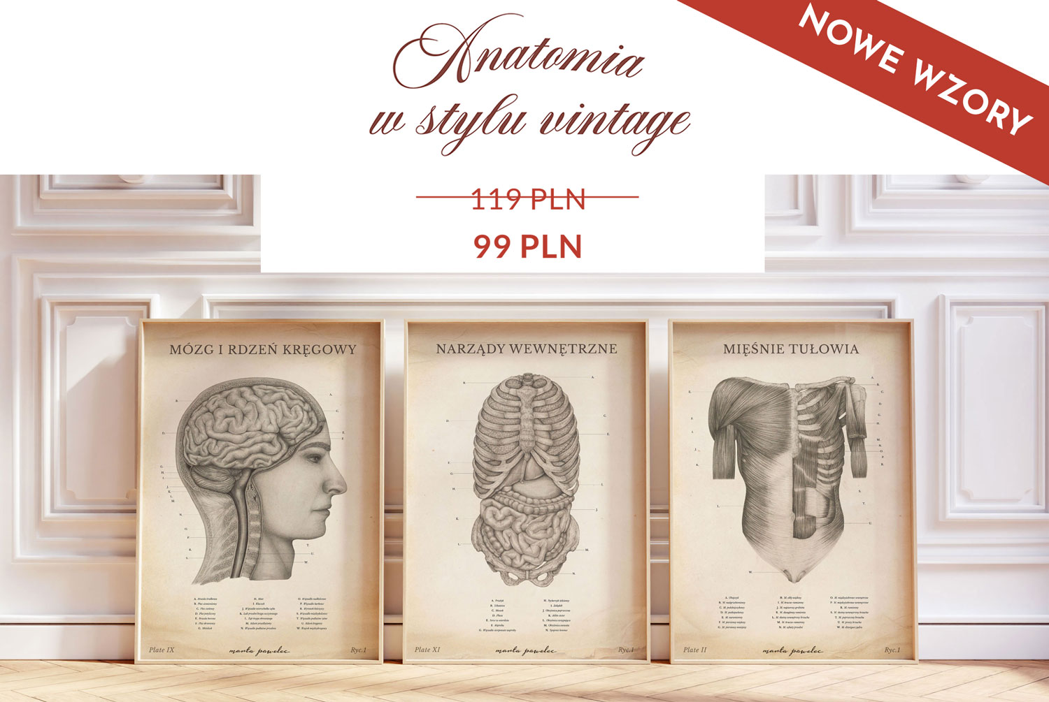 Plakaty anatomiczne vintage